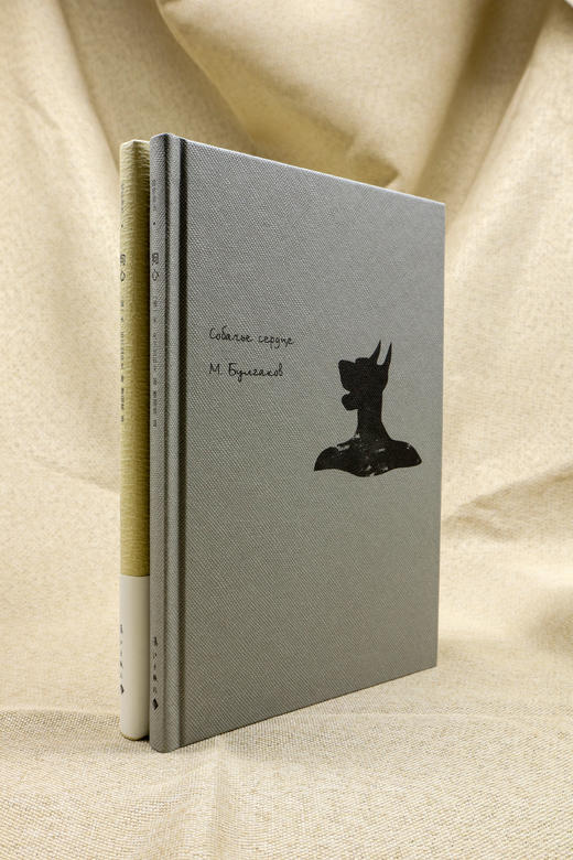 布尔加科夫魔幻三部曲！ 狗心 不祥的蛋 大师和玛格丽特 商品图3