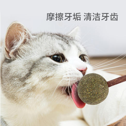 【宠物用品】单个旋转猫薄荷球 磨牙洁齿猫薄荷球棒棒糖 猫用品零食 商品图1