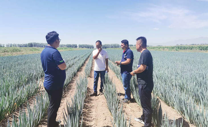 葱满满线下实地技术指导