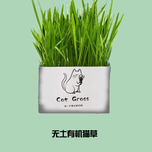 【宠物用品】无土猫草 清洁口腔去毛球猫草栽培套装 猫用品 商品图1