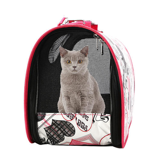 【宠物用品】爆款宠物携带包猫包 折叠透气宠物包外出便携包狗包猫包 商品图2