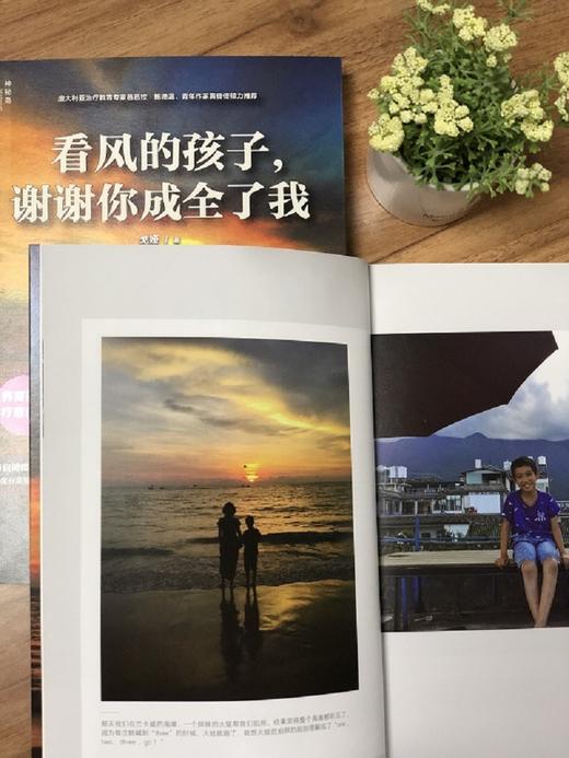 (仓发) 看风的孩子，谢谢你成全了我（神秘岛）/广西师范大学出版社/戈娅/9787559811110 商品图1