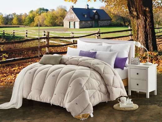 【远梦】吸湿亲水四季被 商品图4