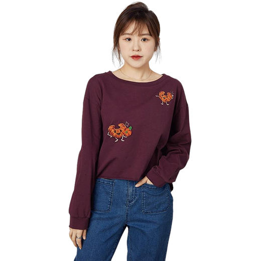 oldcolour春秋季商场同款刺绣上衣宽松长袖休闲T恤女N31023137 商品图4