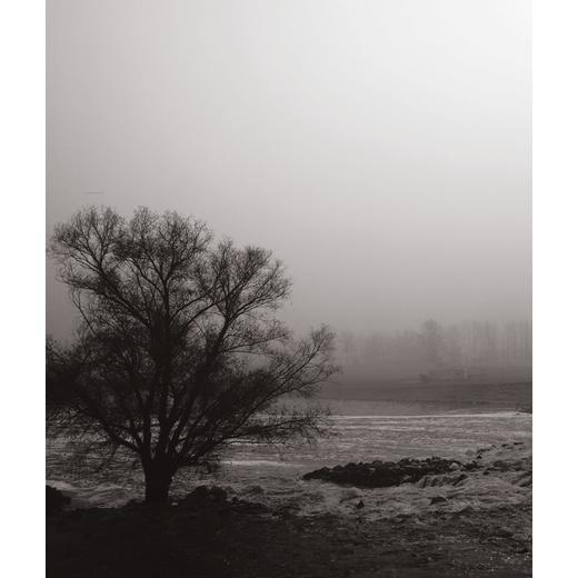 遇见大运河/萧加/编者:崔巍/浙江大学出版社 商品图2