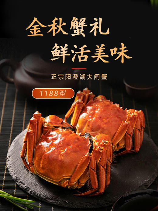 恒鲜源·1188型正宗阳澄湖大闸蟹 公4~4.4两 母3~3.4两 商品图0