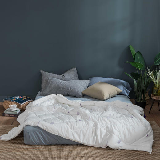 【远梦】吸湿亲水四季被 商品图1