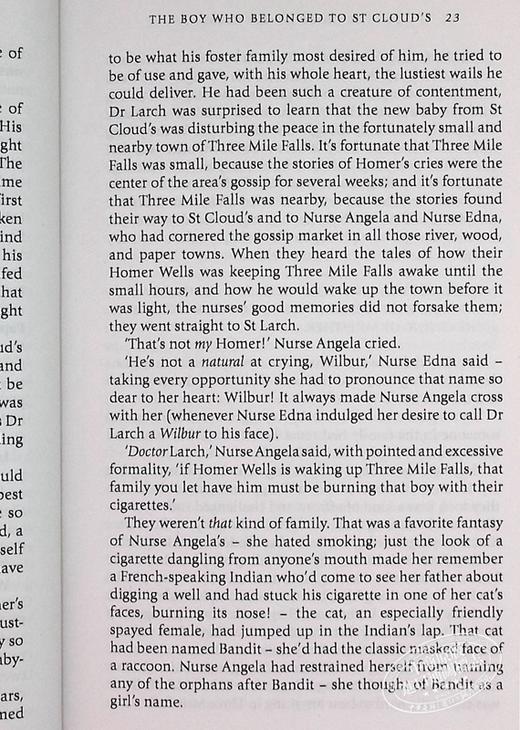 【中商原版】苹果酒屋的规则 豆瓣高分 英文原版 The Cider House Rules John Irving 商品图8