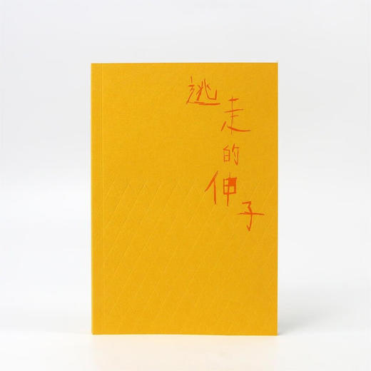 逃走的伸子 宫本百合子 著 小说 商品图2