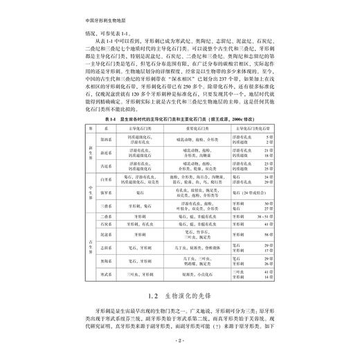 中国牙形刺生物地层(精)/王成源/王志浩/浙江大学出版社 商品图2