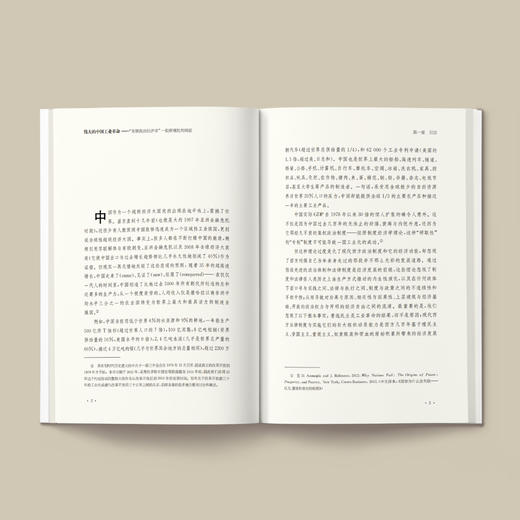 《伟大的中国工业革命：“发展政治经济学”一般原理批判纲要》 商品图4