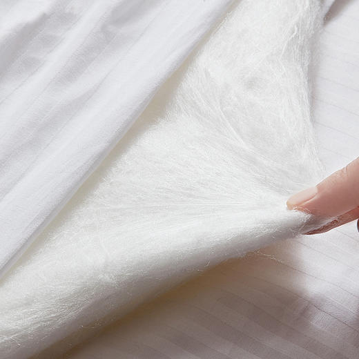 【桑蚕丝被3-5】金三塔100%桑蚕丝蚕丝被 全棉胎布套  CSBC540/CSBC550 商品图2