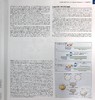 【中商原版】Abeloff临床肿瘤学 英文原版 Abeloff s Clinical OncologyJohn E Niederhuber 商品缩略图4
