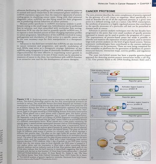 【中商原版】Abeloff临床肿瘤学 英文原版 Abeloff s Clinical OncologyJohn E Niederhuber 商品图4