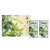 【直邮】祥宇特级初榨橄榄油礼盒丨2种规格（陇南） 商品缩略图2