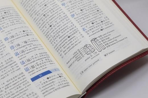 新华字典(汉英双语版) 中国社会科学院语言研究所词典编辑室 编著 商品图7