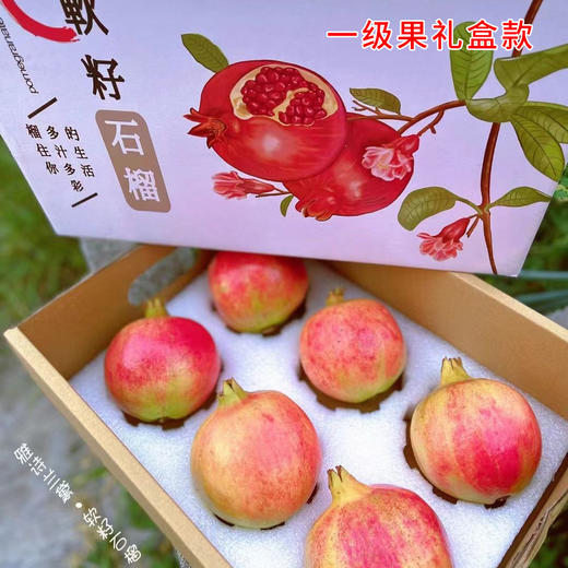 【四川·会理】头茬正宗突尼斯软籽石榴 当季新鲜水果软籽甜红石榴 商品图4