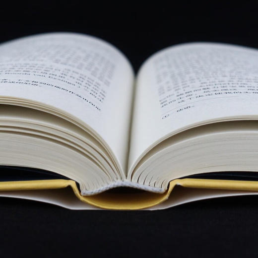 人世间 普拉姆迪亚·阿南达·杜尔 著 文学 商品图3