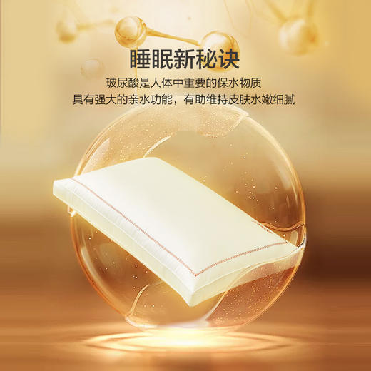 金三塔玻尿酸单人蚕丝枕头 枕芯 中等偏低恰到好处舒适成人枕头  CSZ508 商品图2