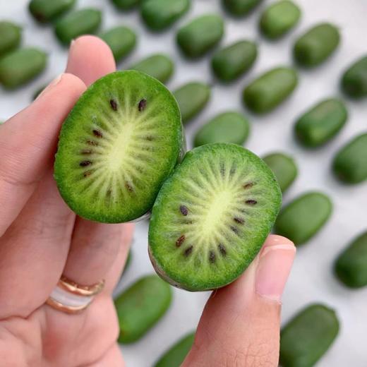 mini绿，plus甜【奇异莓·秋天限定】纯有机，Vc含量爆表！纯甜大果，无限回购～京东发货 商品图6