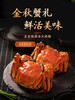 恒鲜源·6888型正宗阳澄湖大闸蟹 公6~7.5两 母5~6两 商品缩略图0