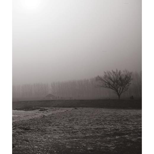 遇见大运河/萧加/编者:崔巍/浙江大学出版社 商品图3