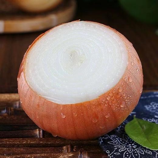 有机水果黄洋葱 商品图2