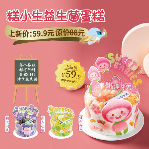 【甜品】糕小生益生菌鲜奶蛋糕 商品图0