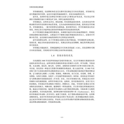 中国牙形刺生物地层(精)/王成源/王志浩/浙江大学出版社 商品图4