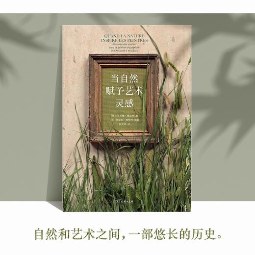 当自然赋予艺术灵感   [法]艾莱娜·穆尼埃 著 [法]亚尼克·弗里埃 摄影  商务印书馆 商品图5
