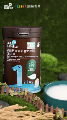 英氏忆格有机五常大米营养米粉-维C加铁