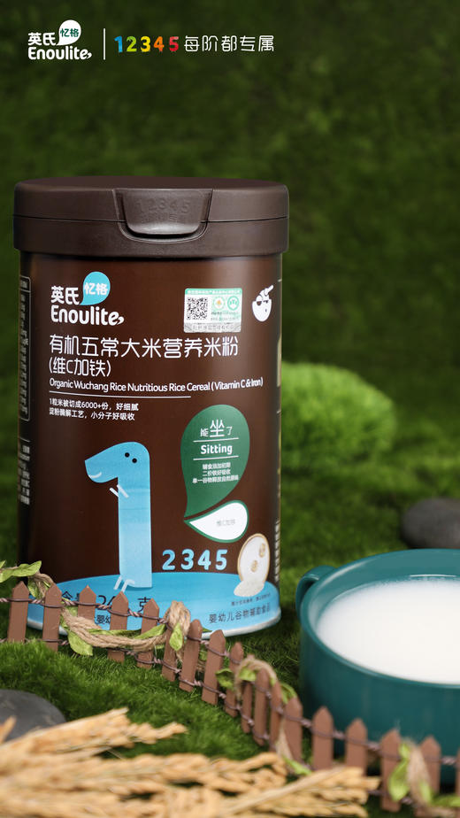 英氏忆格有机五常大米营养米粉-维C加铁 商品图0