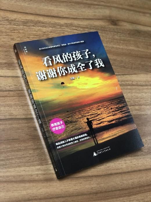 (仓发) 看风的孩子，谢谢你成全了我（神秘岛）/广西师范大学出版社/戈娅/9787559811110 商品图2