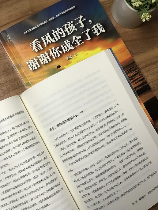 (仓发) 看风的孩子，谢谢你成全了我（神秘岛）/广西师范大学出版社/戈娅/9787559811110 商品图4