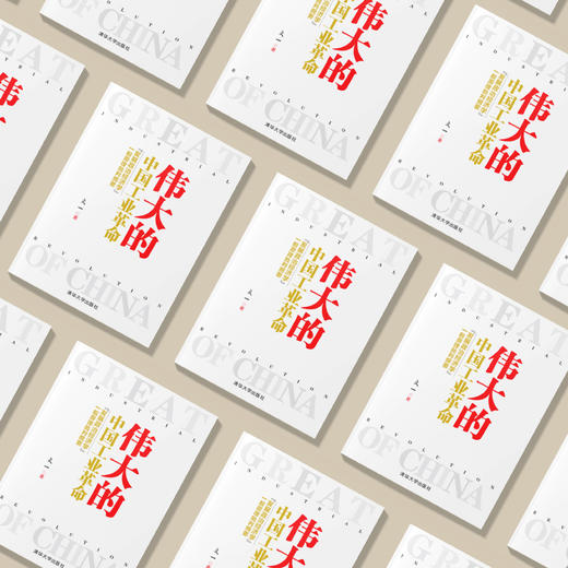 《伟大的中国工业革命：“发展政治经济学”一般原理批判纲要》 商品图5