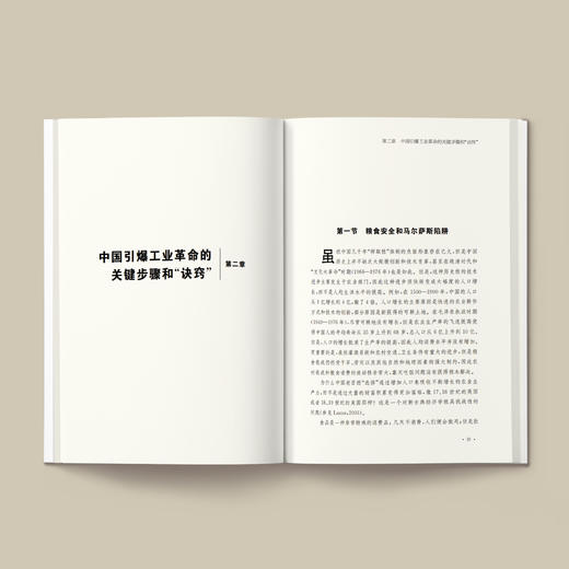 《伟大的中国工业革命：“发展政治经济学”一般原理批判纲要》 商品图3