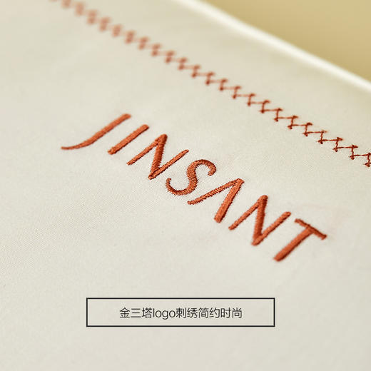 金三塔玻尿酸单人蚕丝枕头 枕芯 中等偏低恰到好处舒适成人枕头  CSZ508 商品图4