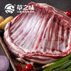 【草之味·草原大羊排】袋装1kg  内蒙古羊肉  内赠料包 商品缩略图2