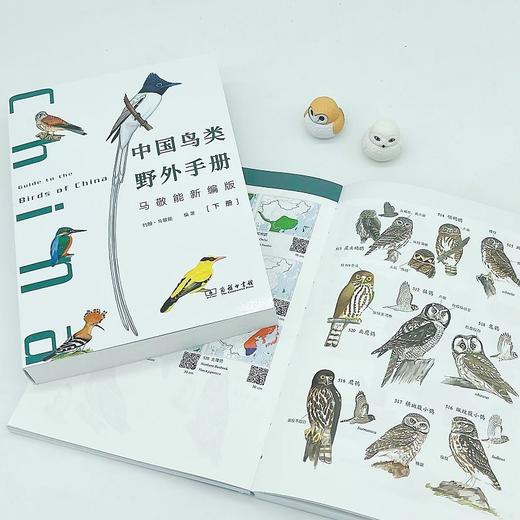 中国鸟类野外手册(马敬能新编版)(上下册) 商品图4