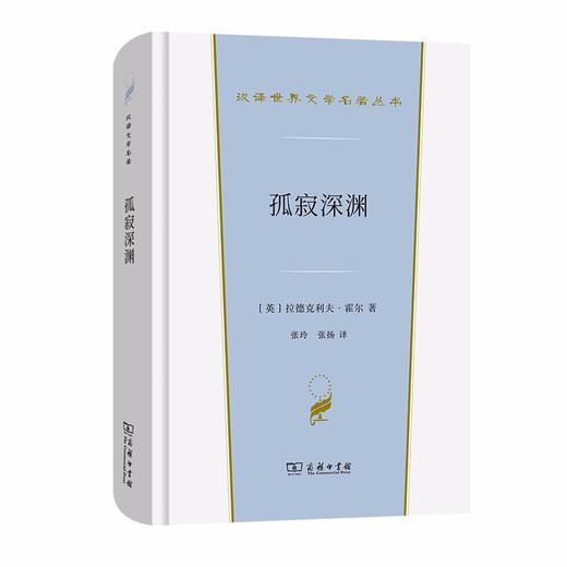 孤寂深渊（汉译世界文学名著丛书·第1辑·小说类） 商品图0