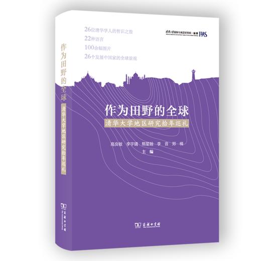 作为田野的全球——清华大学地区研究拾年巡礼 商品图0
