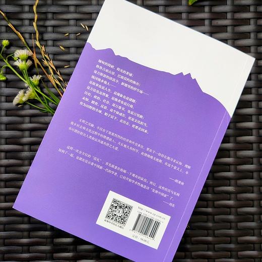 作为田野的全球——清华大学地区研究拾年巡礼 商品图3