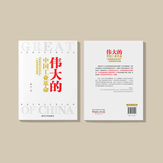 《伟大的中国工业革命：“发展政治经济学”一般原理批判纲要》 商品图6