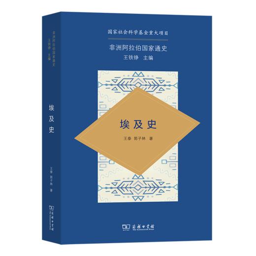 埃及史（非洲阿拉伯国家通史） 商品图0