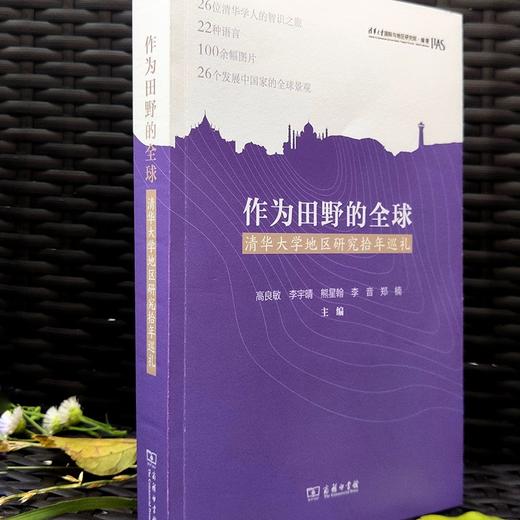 作为田野的全球——清华大学地区研究拾年巡礼 商品图1