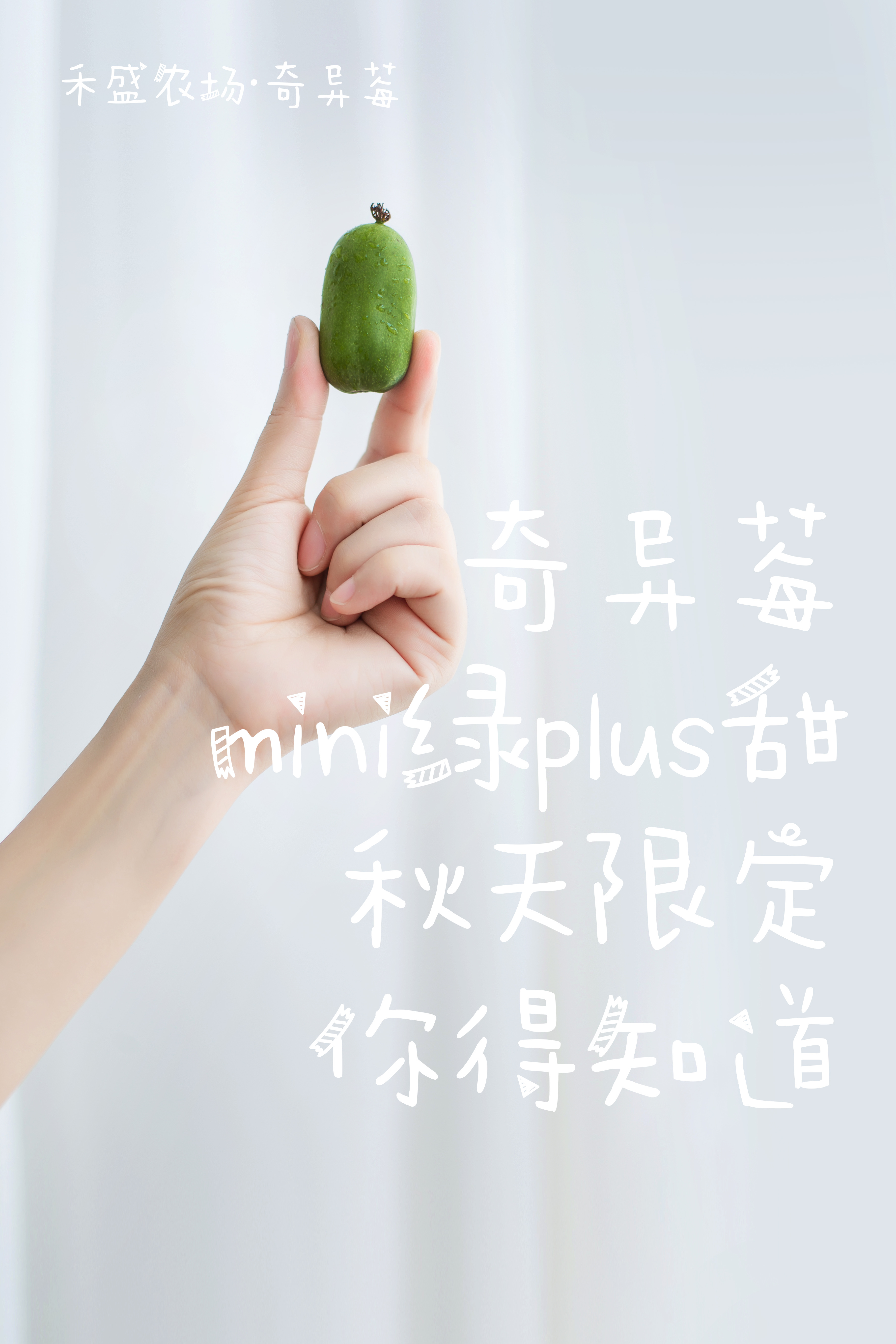 mini绿，plus甜【奇异莓·秋天限定】纯有机，Vc含量爆表！纯甜大果，无限回购～京东发货