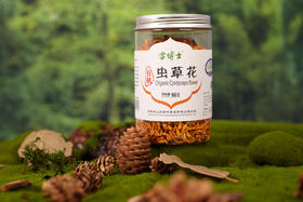 有机虫草花  营养食补   小兴安岭  雪博士支持自提