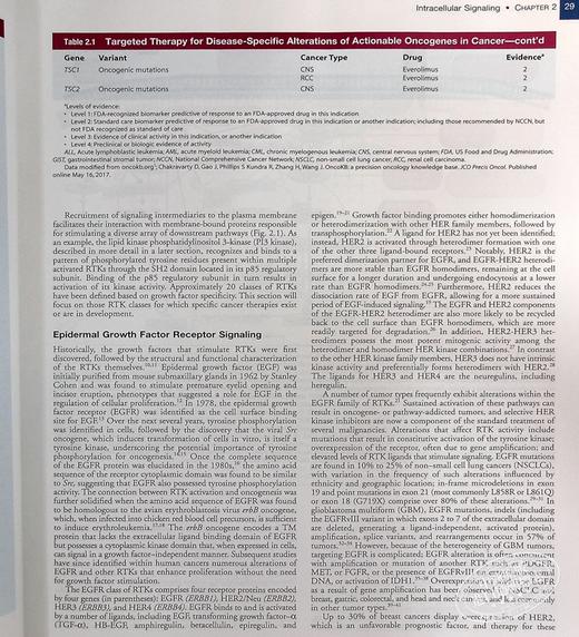 【中商原版】Abeloff临床肿瘤学 英文原版 Abeloff s Clinical OncologyJohn E Niederhuber 商品图5