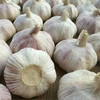 有机蒜头 商品缩略图2