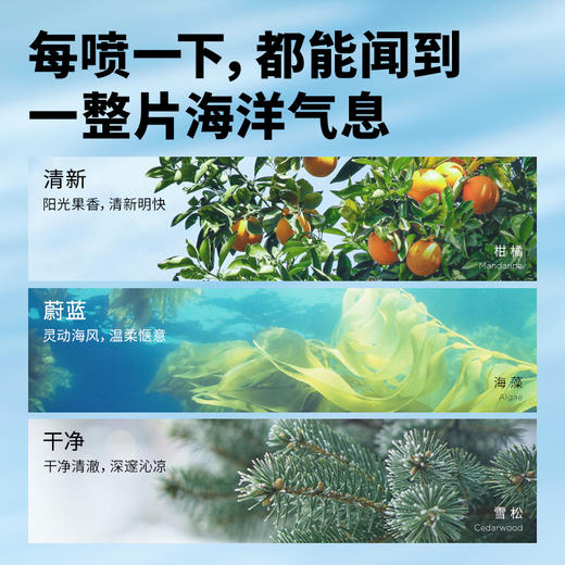 【水香调-大西洋】气味图书馆大西洋香氛身体乳215ml/沐浴露295ml 浓缩了一整片清新海洋（新老包装随机发货） 商品图1